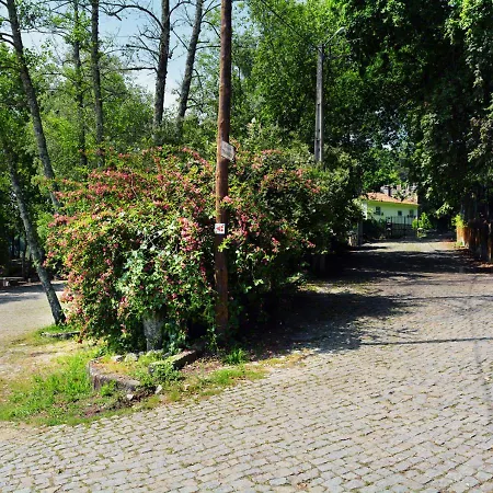 Casa De Travassos Feriehus