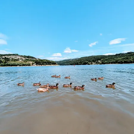 Holiday home Casa De Travassos Luzim