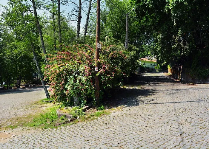 Casa De Travassos Semesterbostad