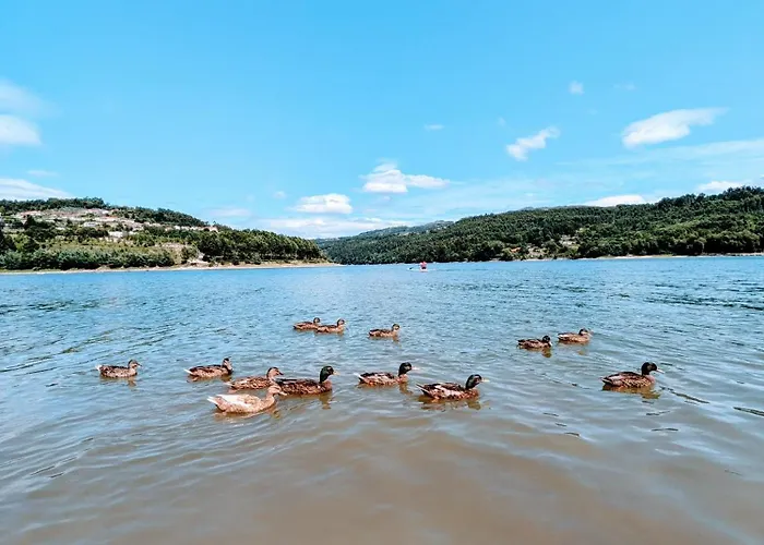Semesterbostad Casa De Travassos Luzim